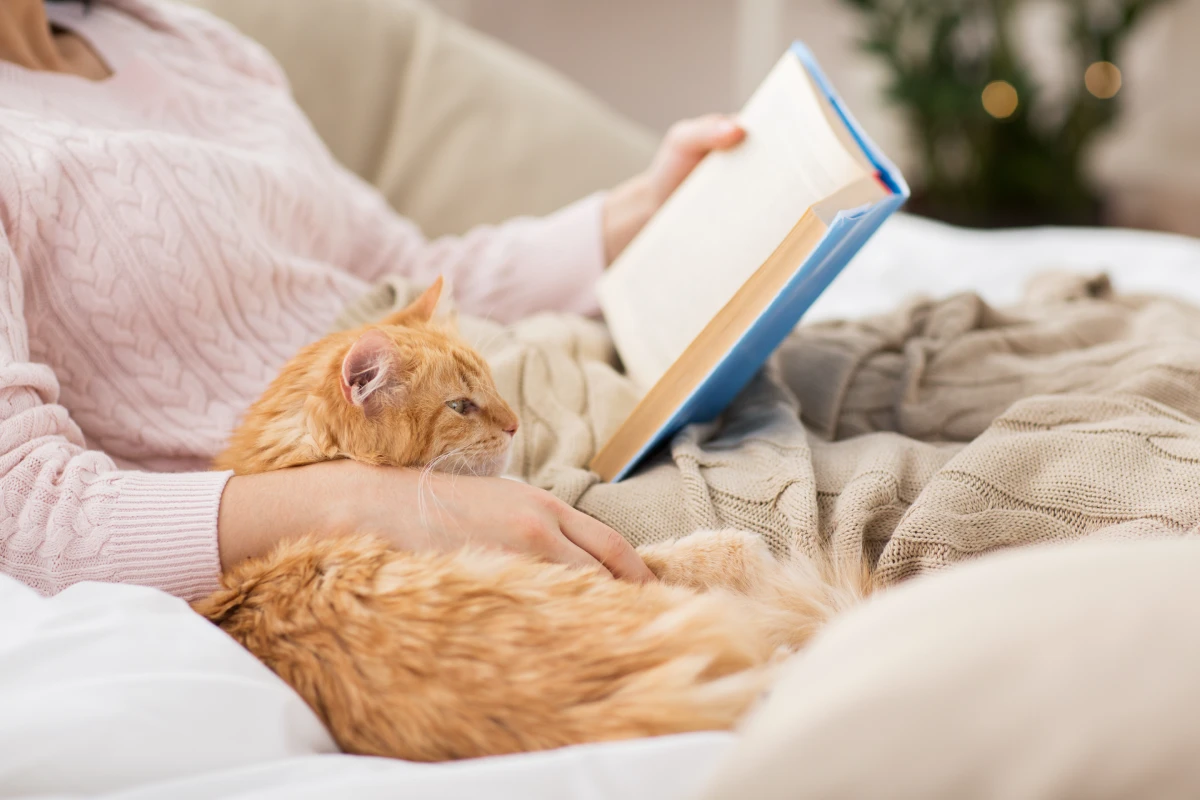 Putting your feet up with your favourite floof is so much easier with recliner beds