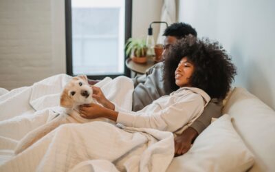 What Does a Durable Mattress Really Cost? A Cost-Per-Year Guide for South Africans