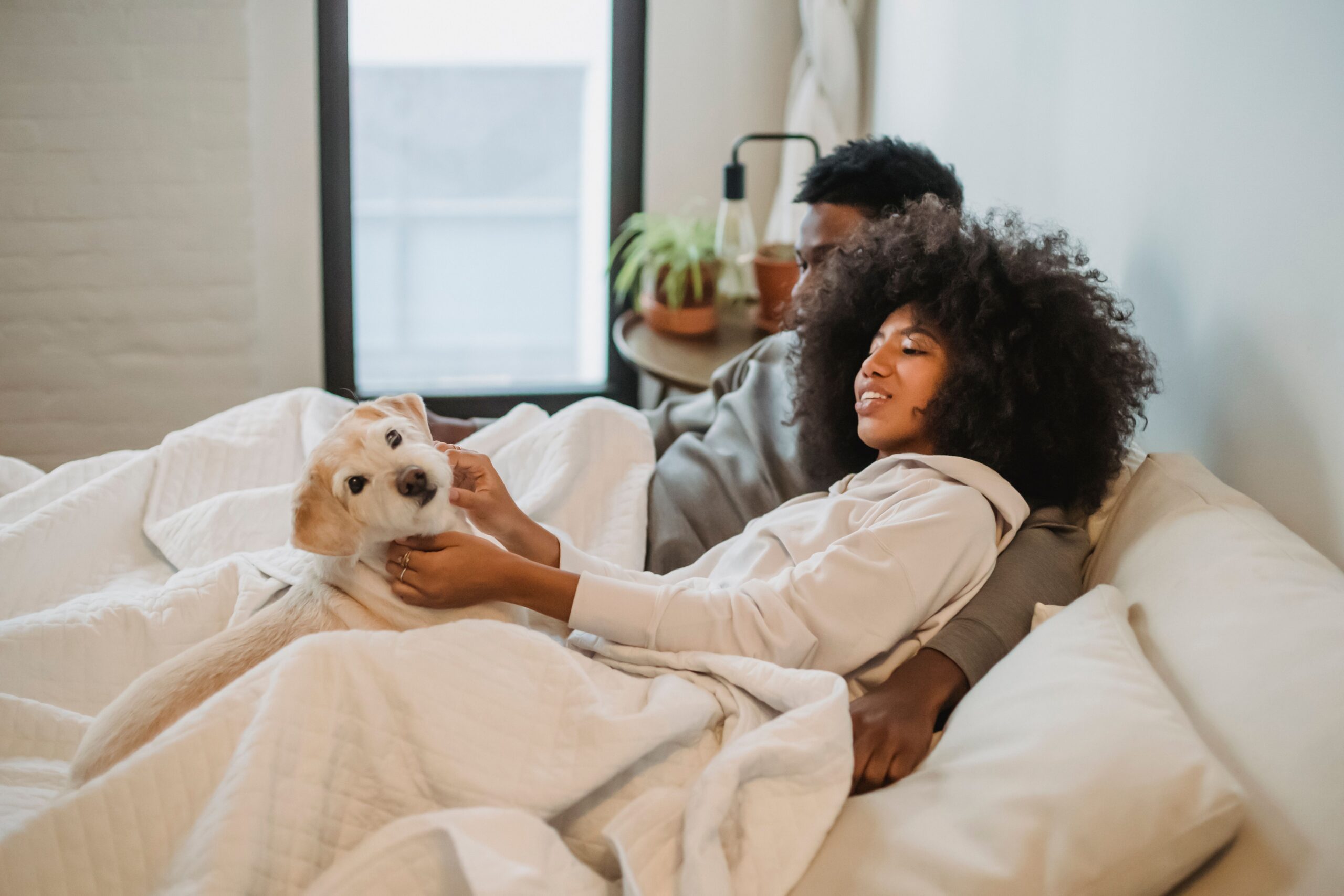 A durable mattress in South Africa lets you enjoy more comfort and happier moments for long A durable mattress in South Africa lets you enjoy more comfort and happier moments for long